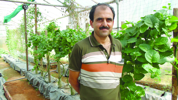 ವಿವಿಧ ಬೆಳೆ ಬೆಳೆದು  ಯಶಸ್ವಿಯಾದ ‘ಪಾಲಿ ಹೌಸ್’!